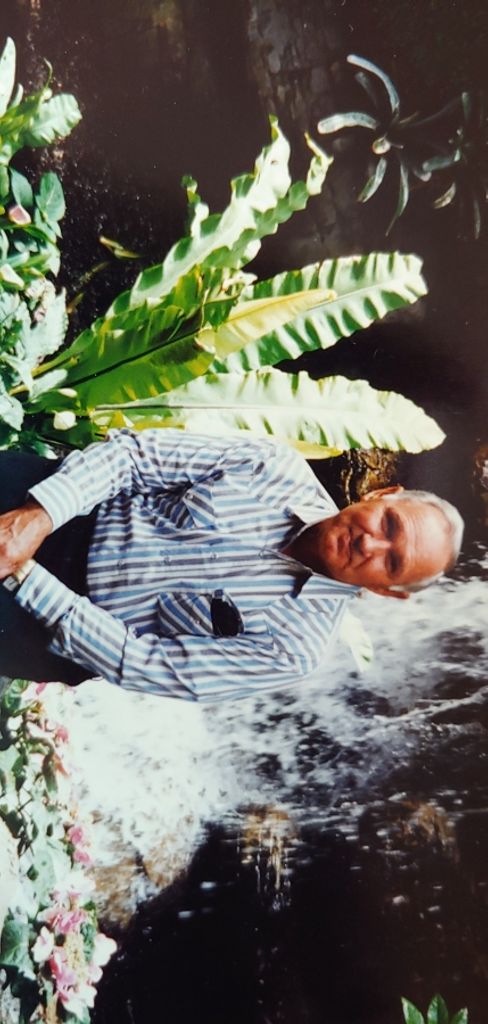 Wade Wood