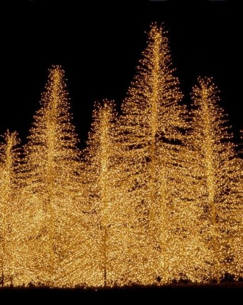 Martha (Polly) Umphrey