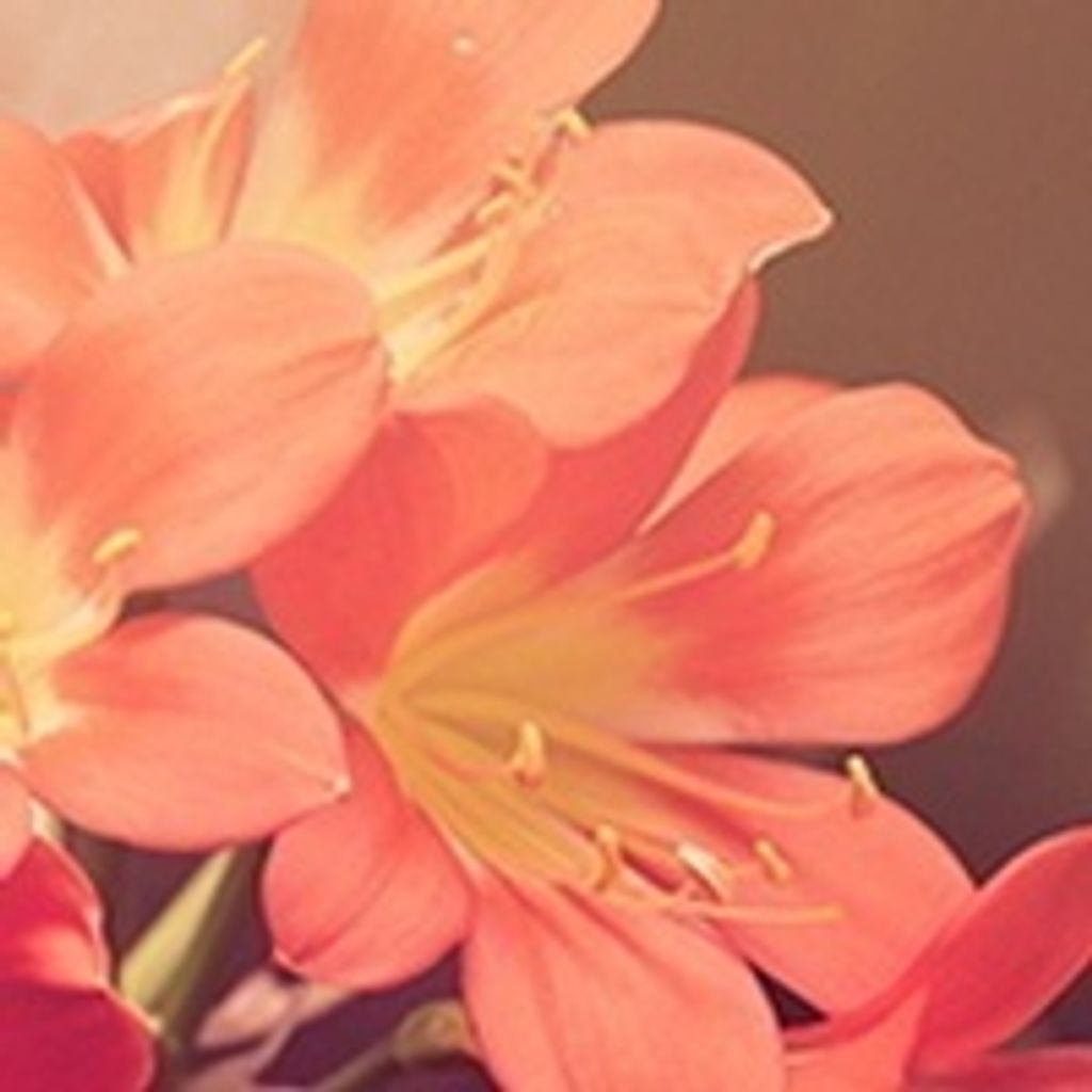 Edna Baldwin Love Profile Photo