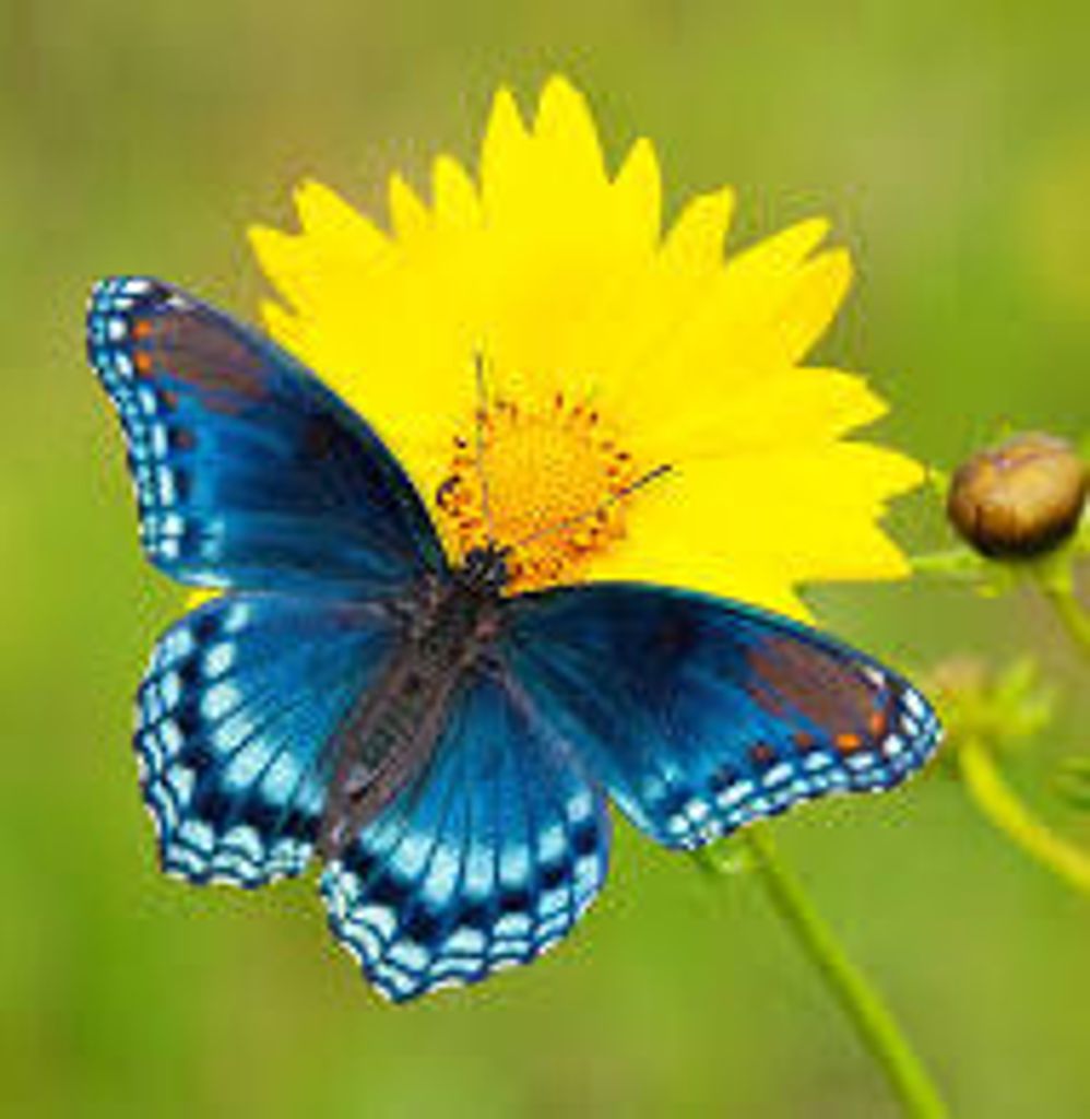 Kathryn Mae King Profile Photo