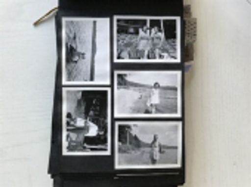 Ellen A. Mccormack photo gallery thumbnail 24 of 29