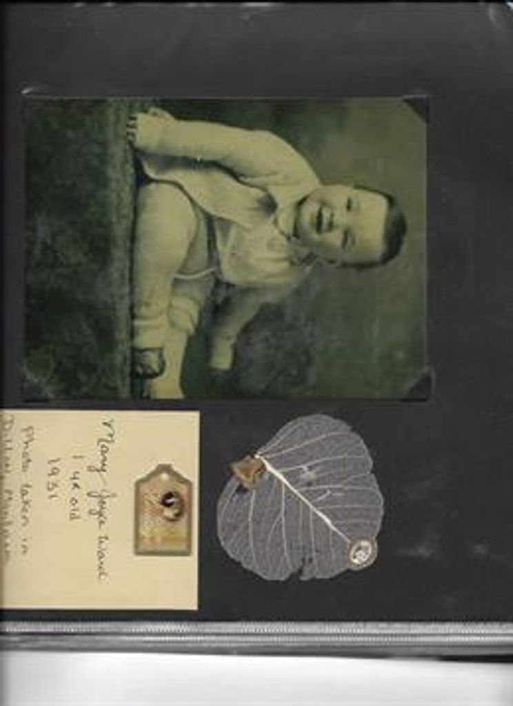 Mary Lockyer