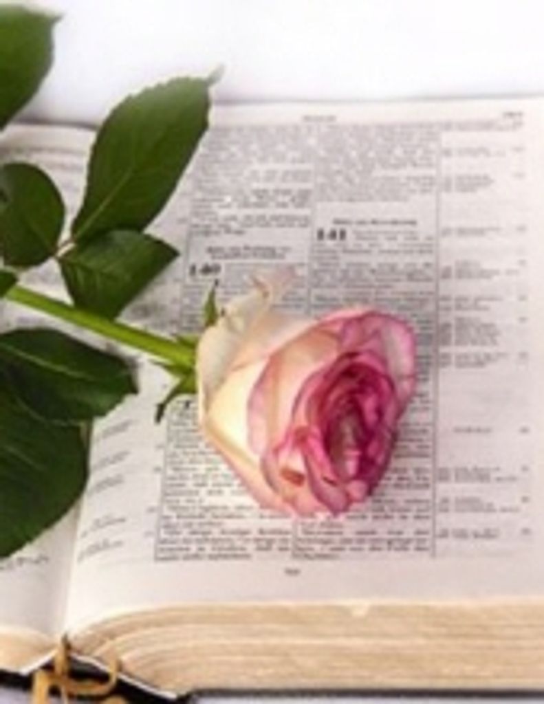 Elizabeth Wessels Herron