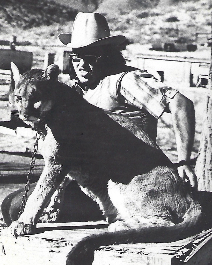 Nelson L Lethco Jr. Profile Photo