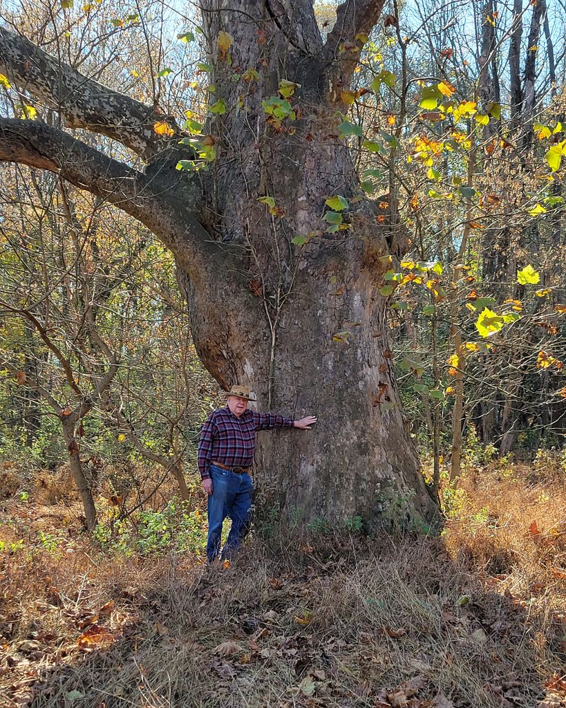 Albert VanBrunt Profile Photo