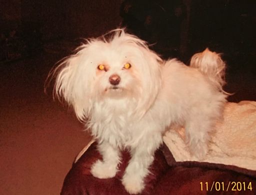 Lucille (Gay)  Brown photo gallery thumbnail 50 of 98