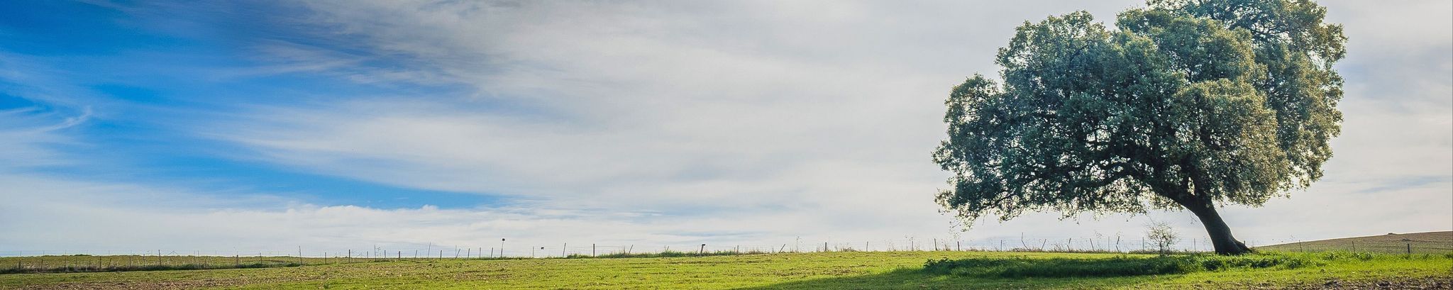 Cover for Aniello Luciano Cretella's Obituary