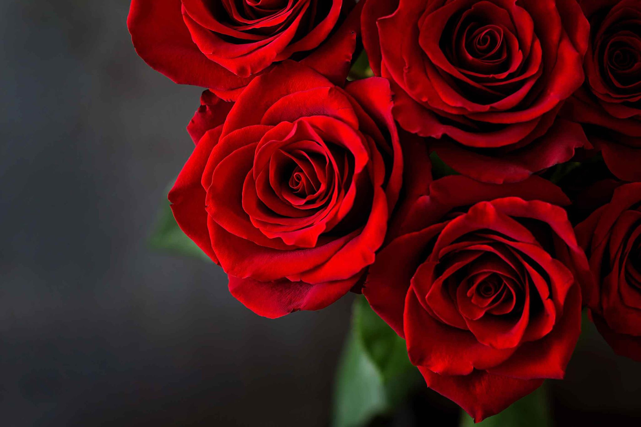 Cover photo for Marjorie E. DeBolt's Obituary