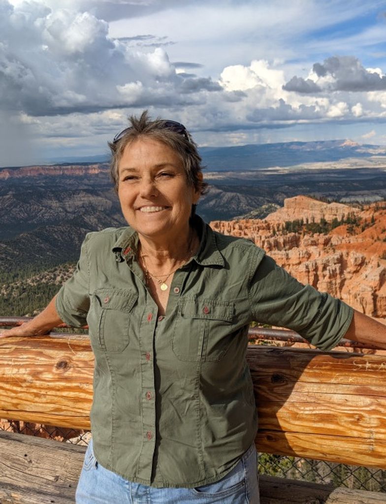 Lisa Renee (Lightsey)  Seay