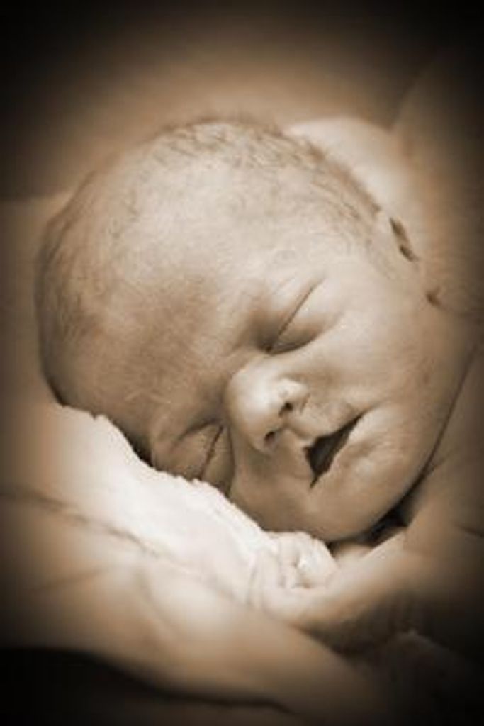 Elin Michelle Bisonet