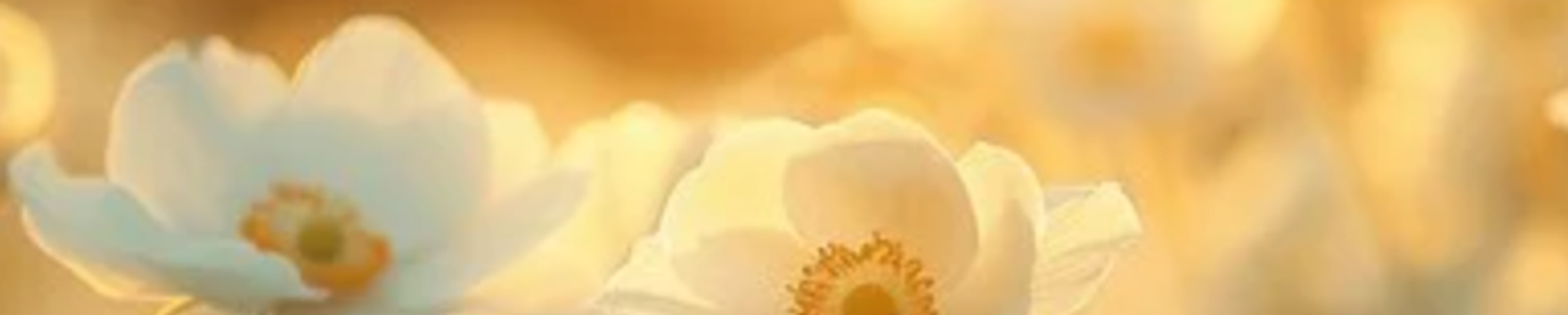 Cover for Mary Elizabeth Kezele's Obituary