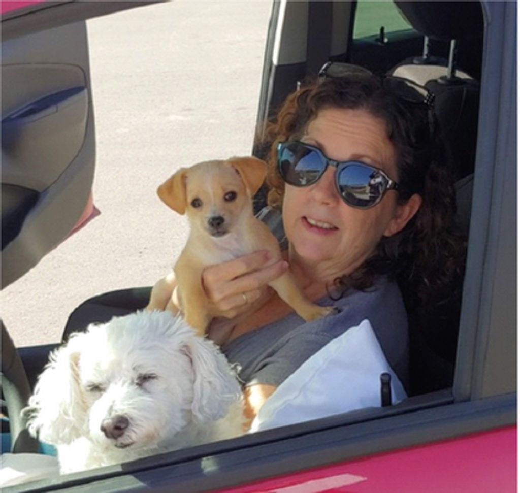Susan Elizabeth Mcfarland Profile Photo