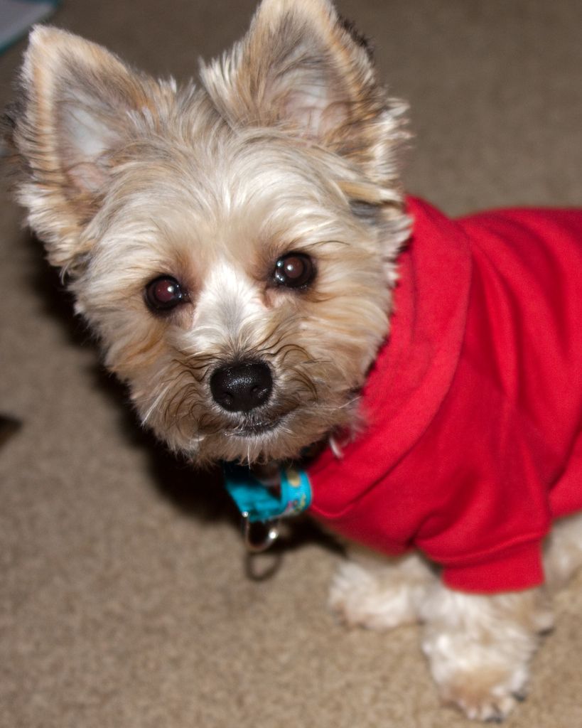 Berklee Anderson/Frye