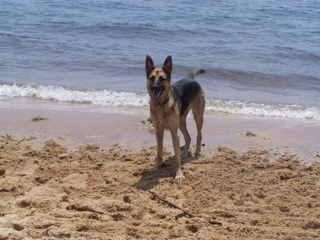 Sadie Mae Mohundro