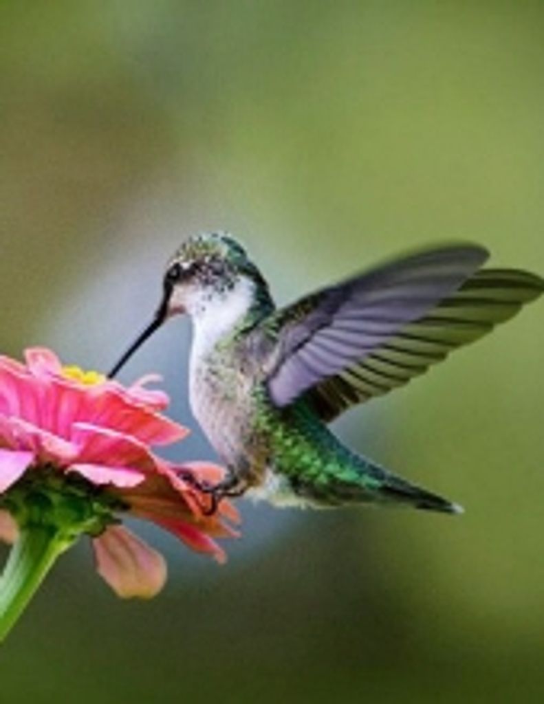 Edna Langston Mckenzie