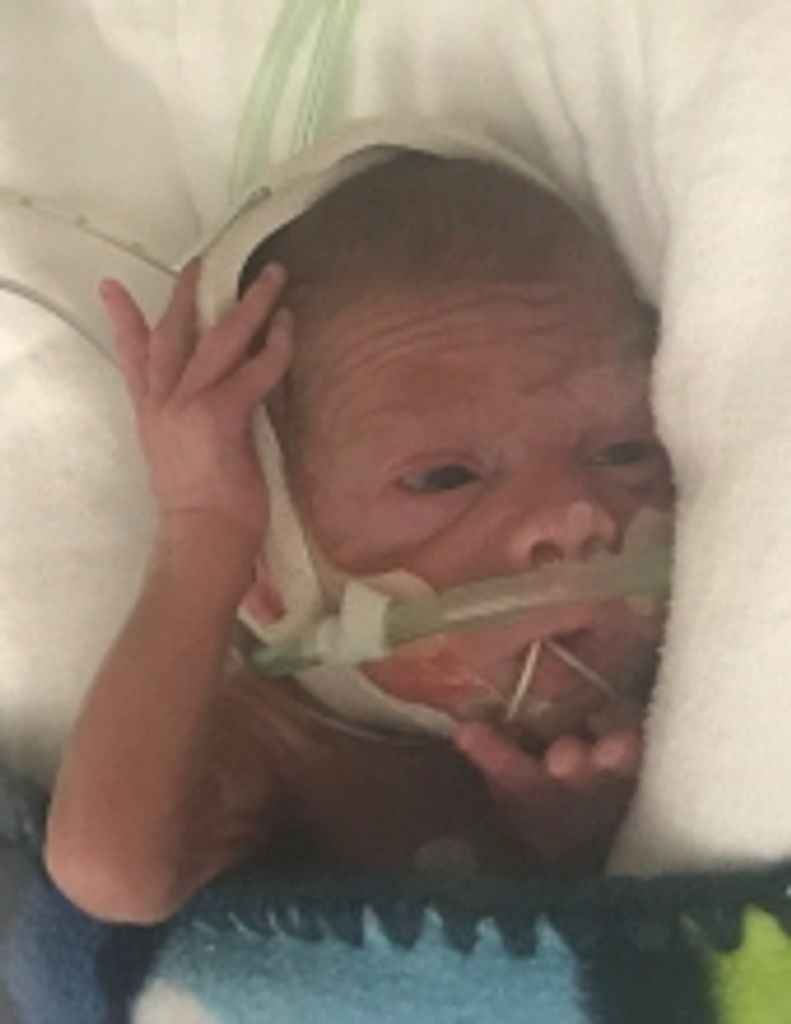 Reed Dominick Robinson Profile Photo