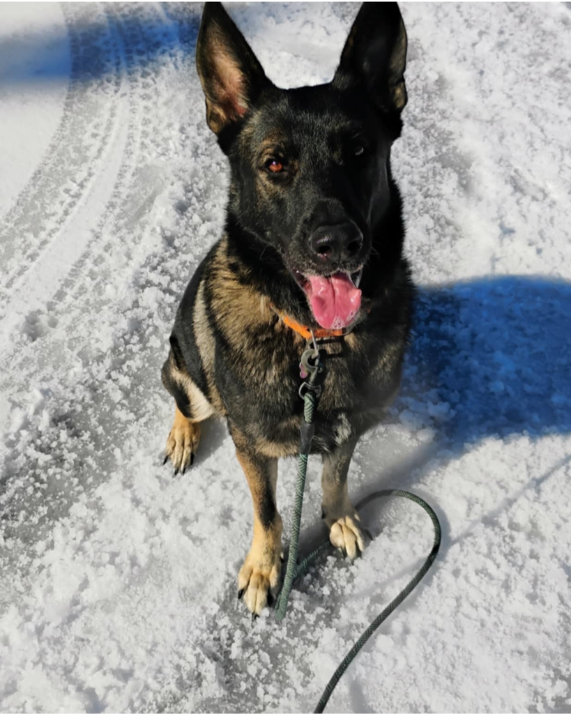 Axel Profile Photo