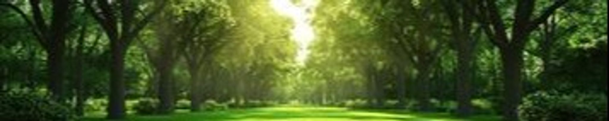 Cover photo for James H. Davis's Obituary