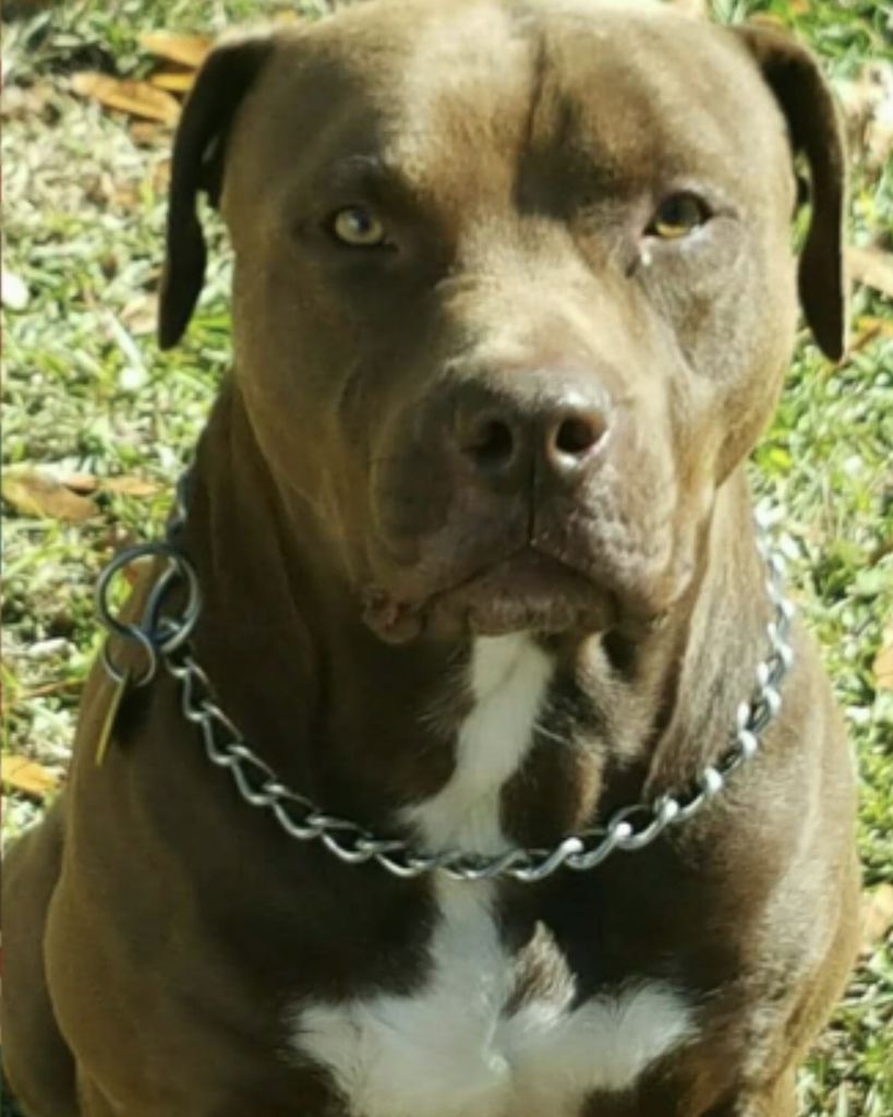 Dunbar Williams Profile Photo