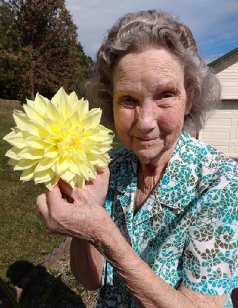 Nancy Lee Davis Profile Photo