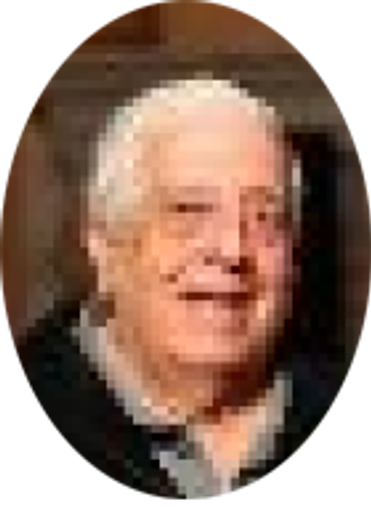 Otello Piazza Profile Photo