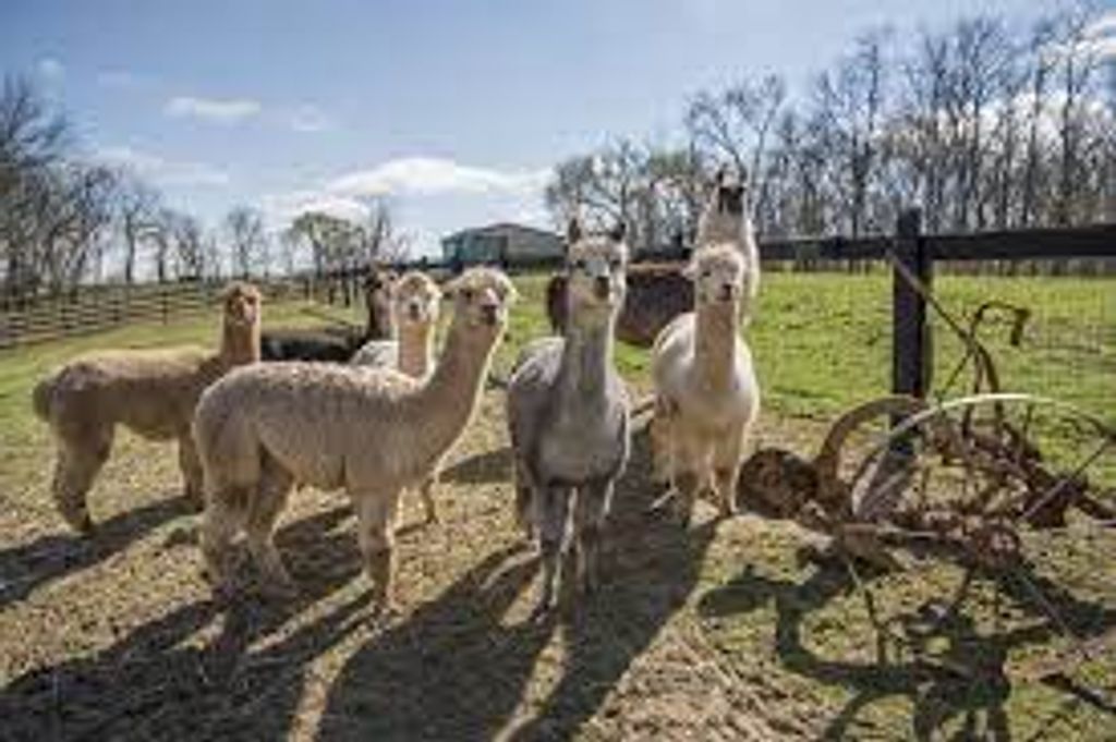 Donald  J. New Profile Photo