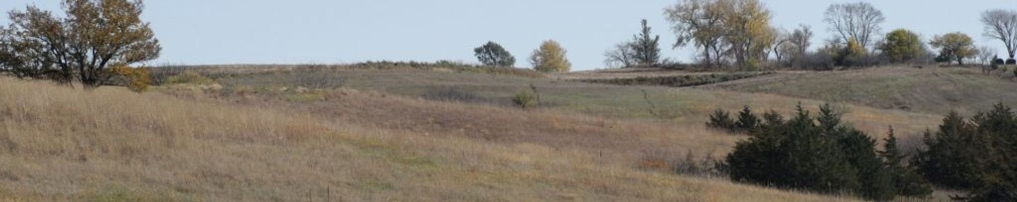Cover photo for Gerald Richard Schiefen's Obituary