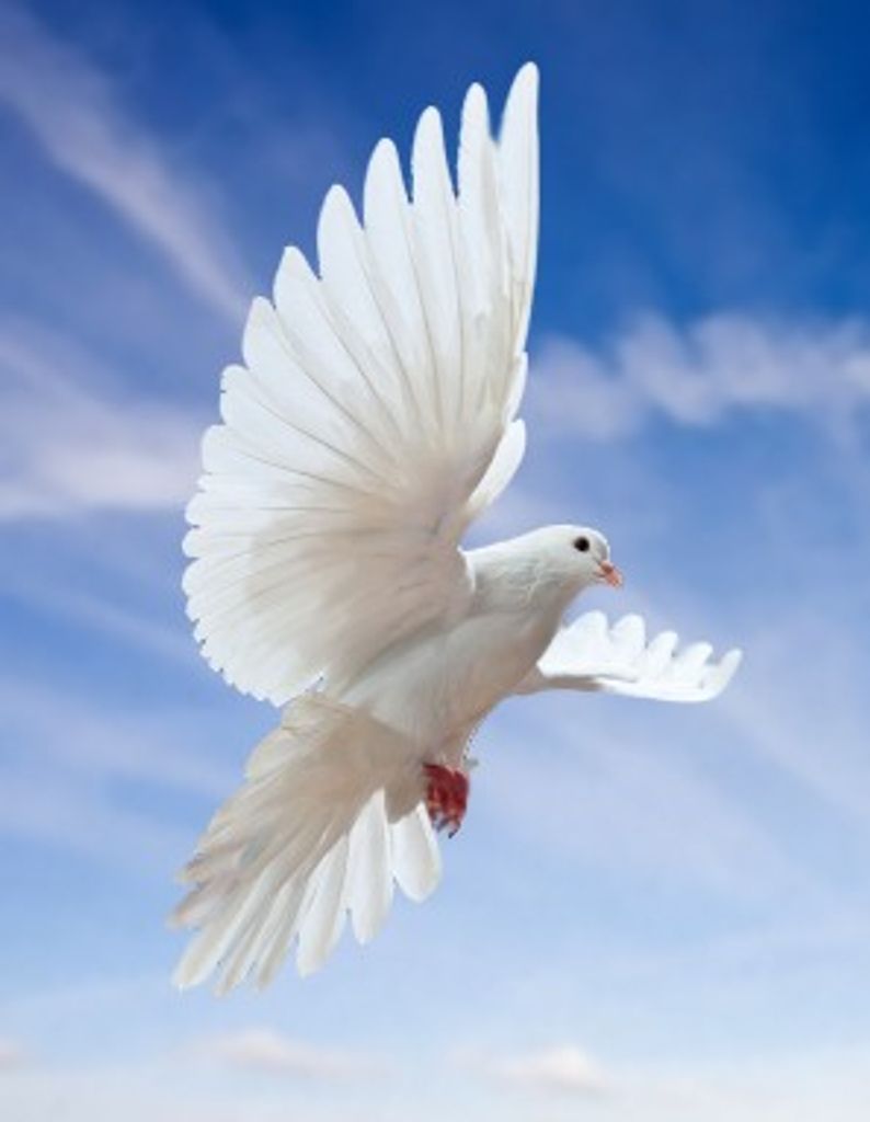 Thelma Gail Stickler Profile Photo