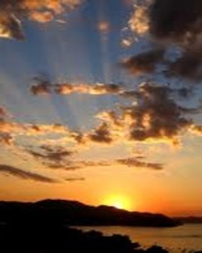 Phillip Burt Galleogs Jr.'s obituary image