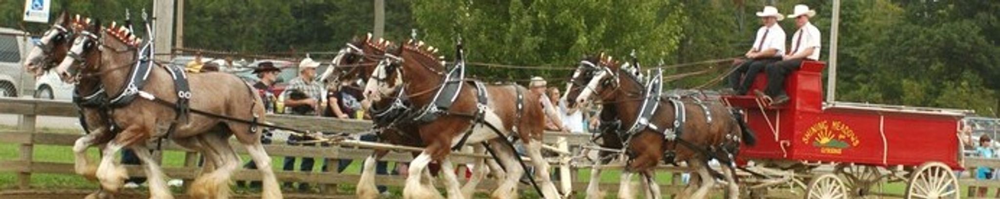 Cover for William "Bill" F. Mullen's Obituary