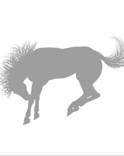 Colt After Buffalo's obituary image
