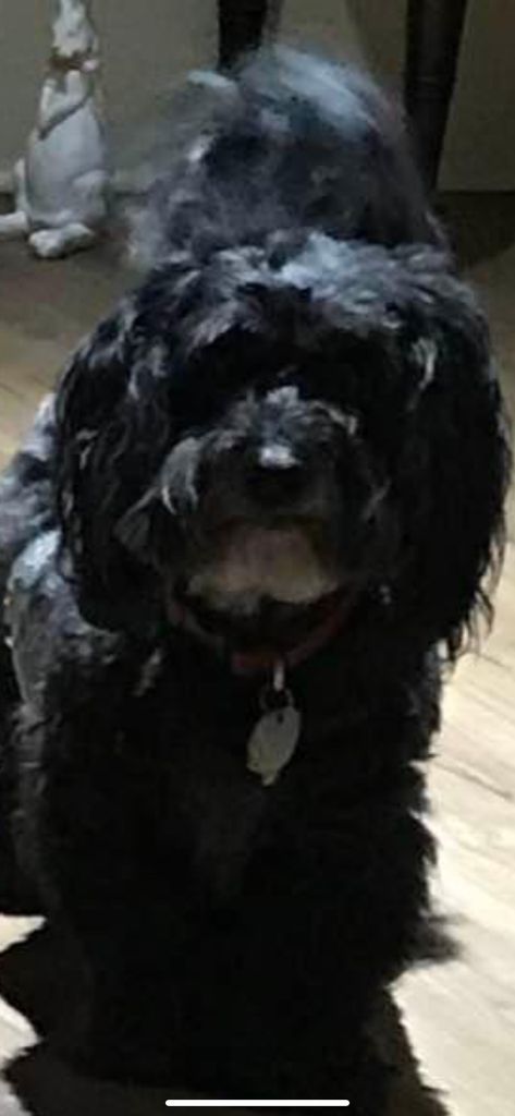 Benson Profile Photo
