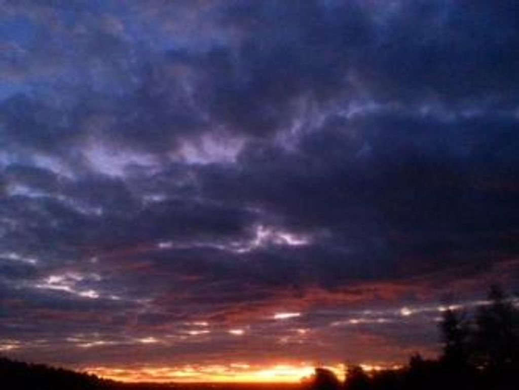 Joann Butscher Warren Profile Photo