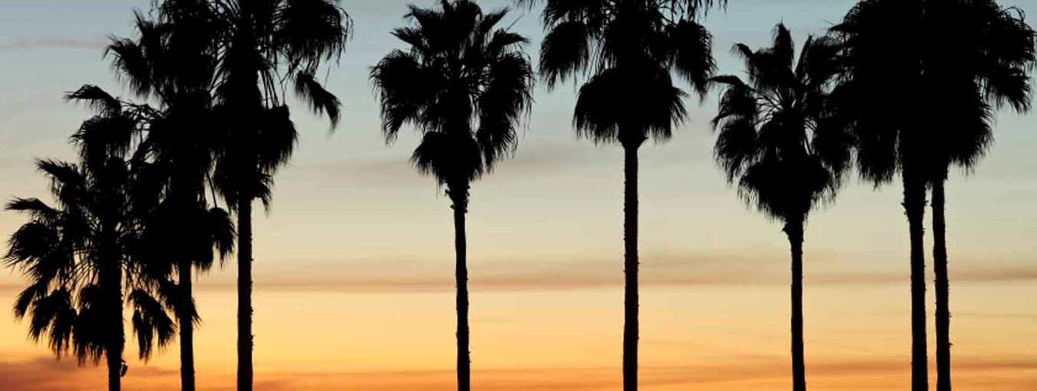 Cover for Maryjane Muscler's Obituary