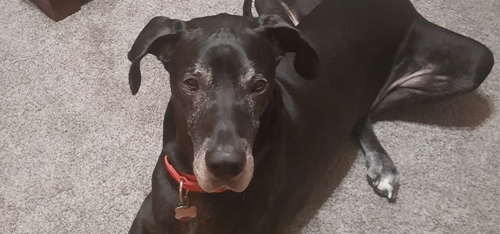 Ashur Profile Photo