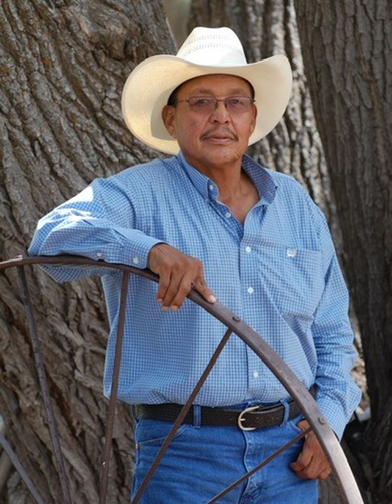 Nelson Roanhorse Jr.