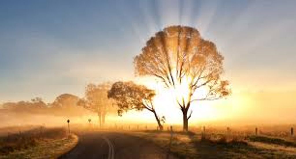 Jerry Linwood Whitley