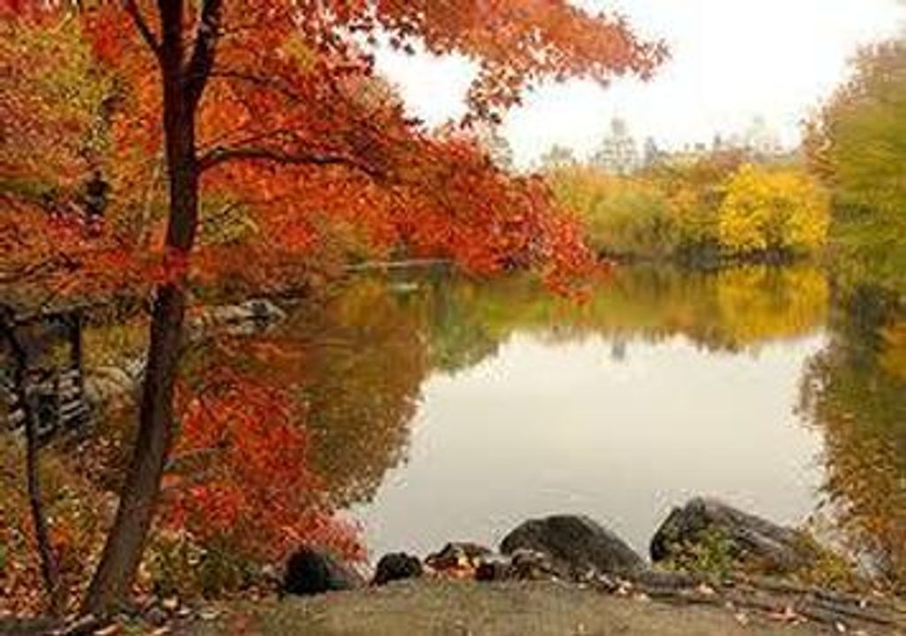 Leslie Eugene Smith Profile Photo