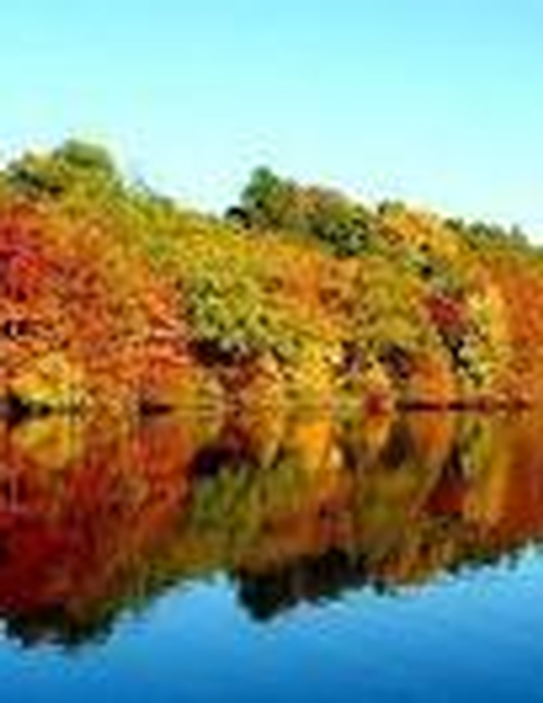 Lynne Nancy Macglashan Rainey