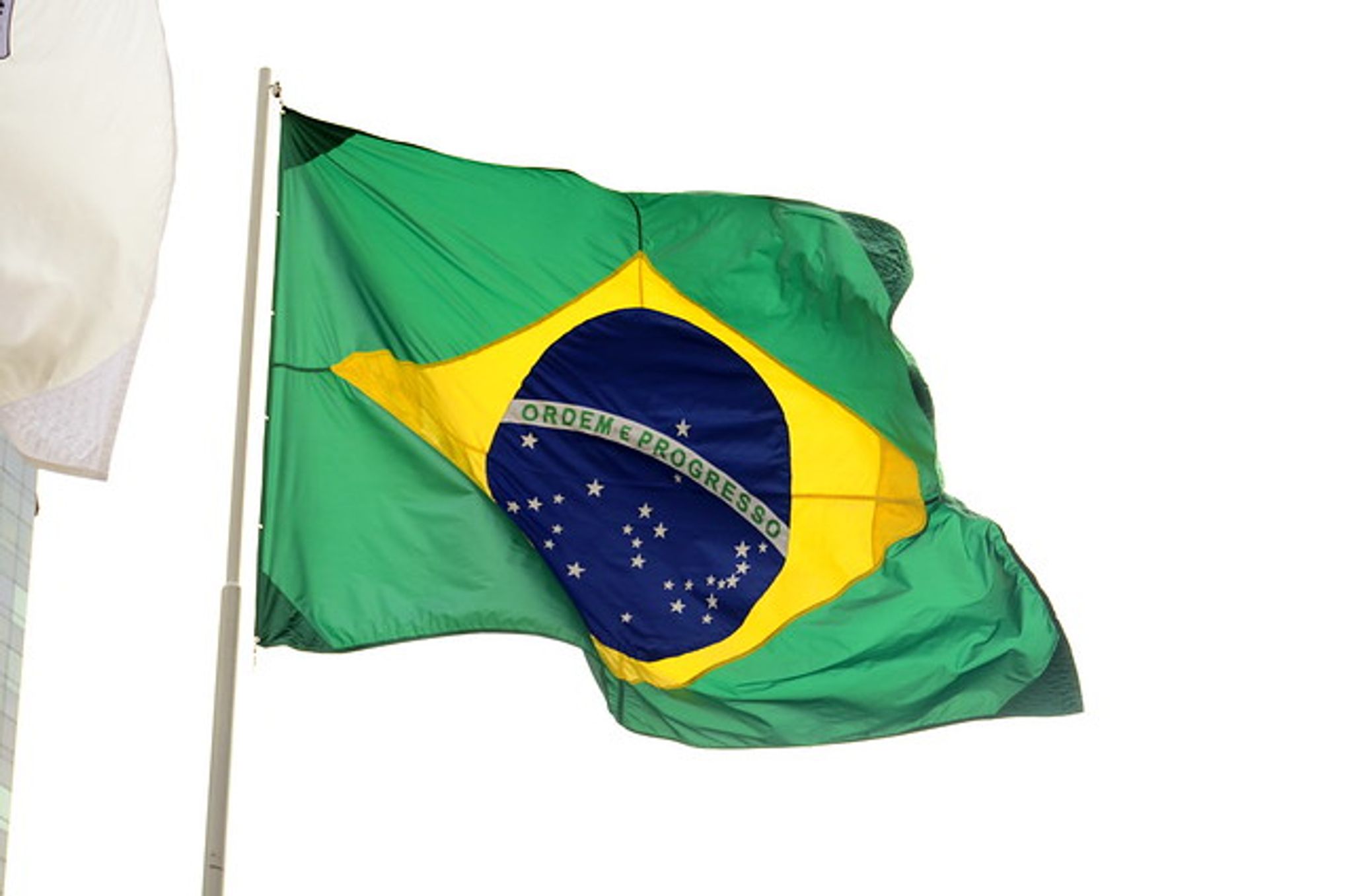 Cover photo for Leonardo Guedes Domingues's Obituary