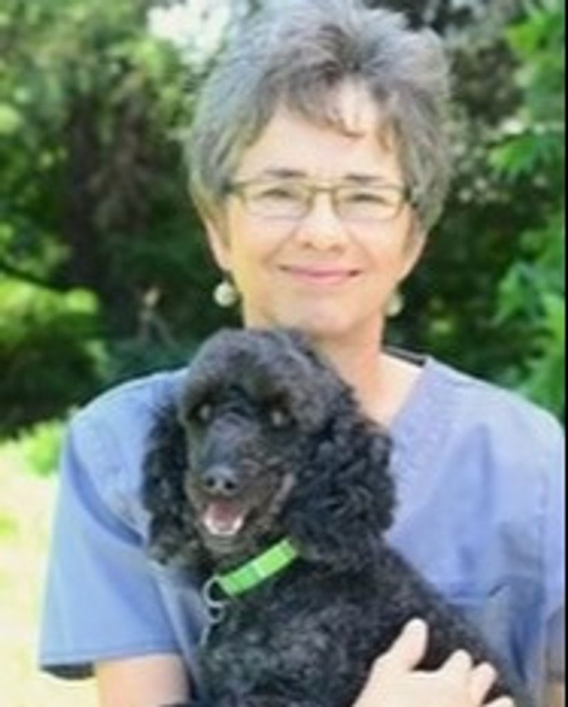 Linda Sue Friesen