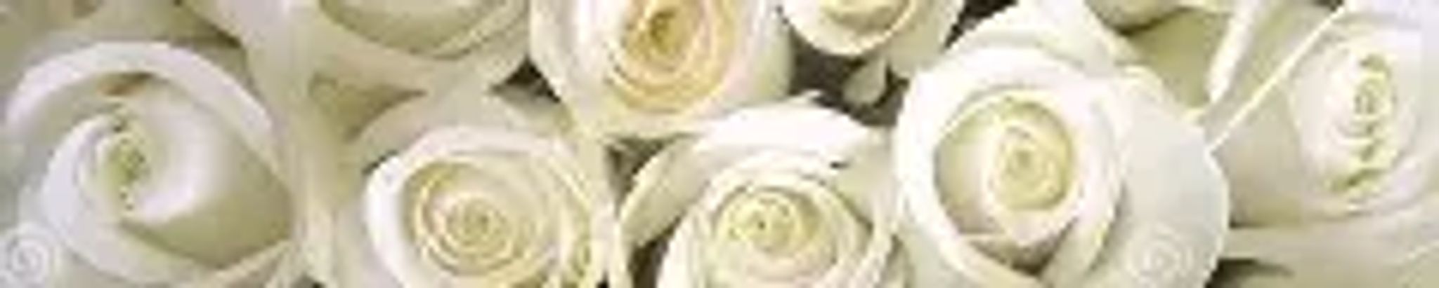 Cover for Lucia Natalia Ayala's Obituary