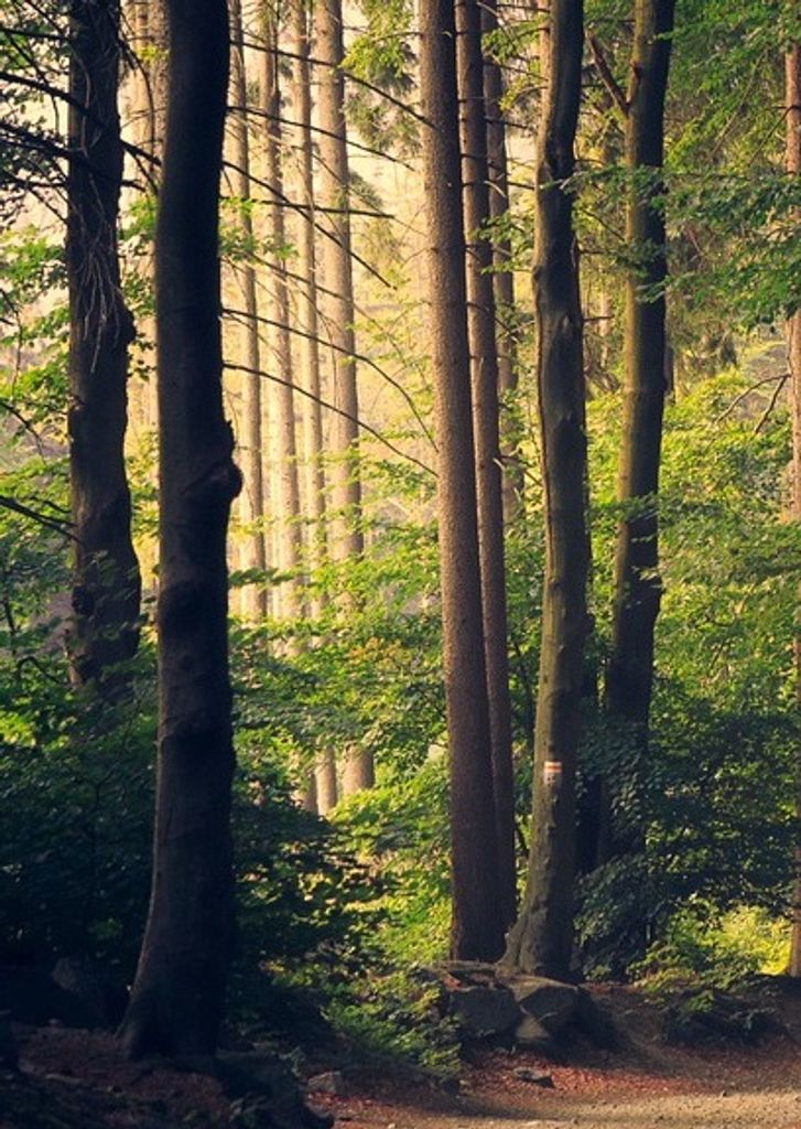 Harry Richard Owen Profile Photo