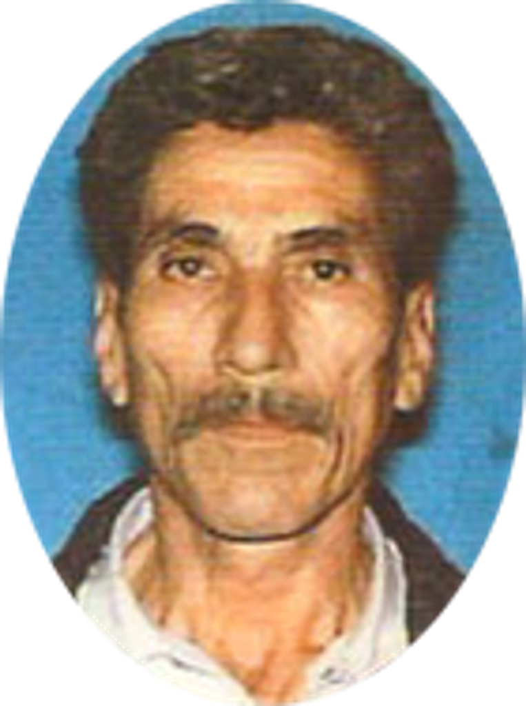 Israel  Nava Flores