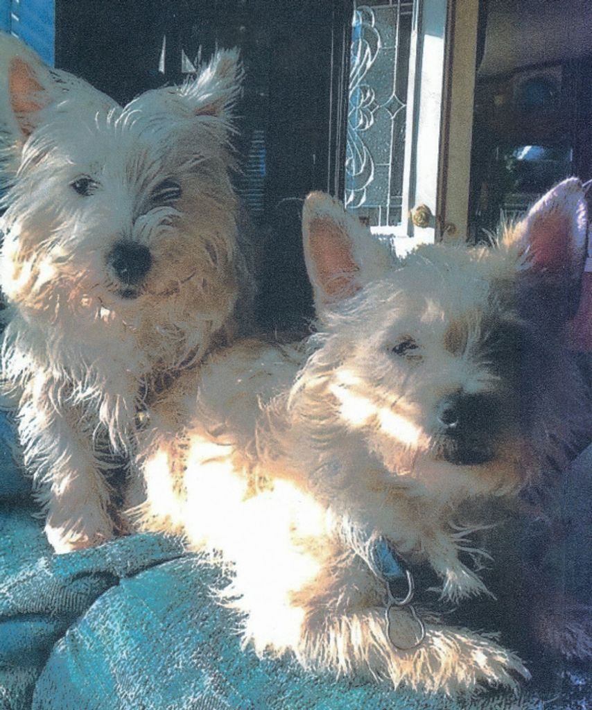 Annie And Squirt