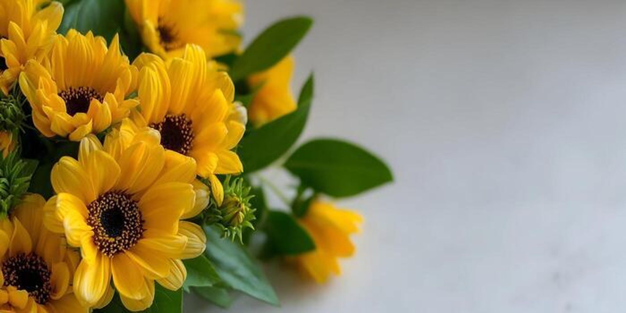 Cover for Dorothy Ottilia Hallock's Obituary