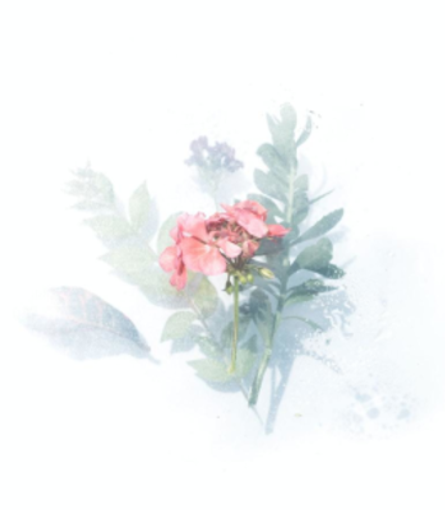 Lisa M. Godina Profile Photo