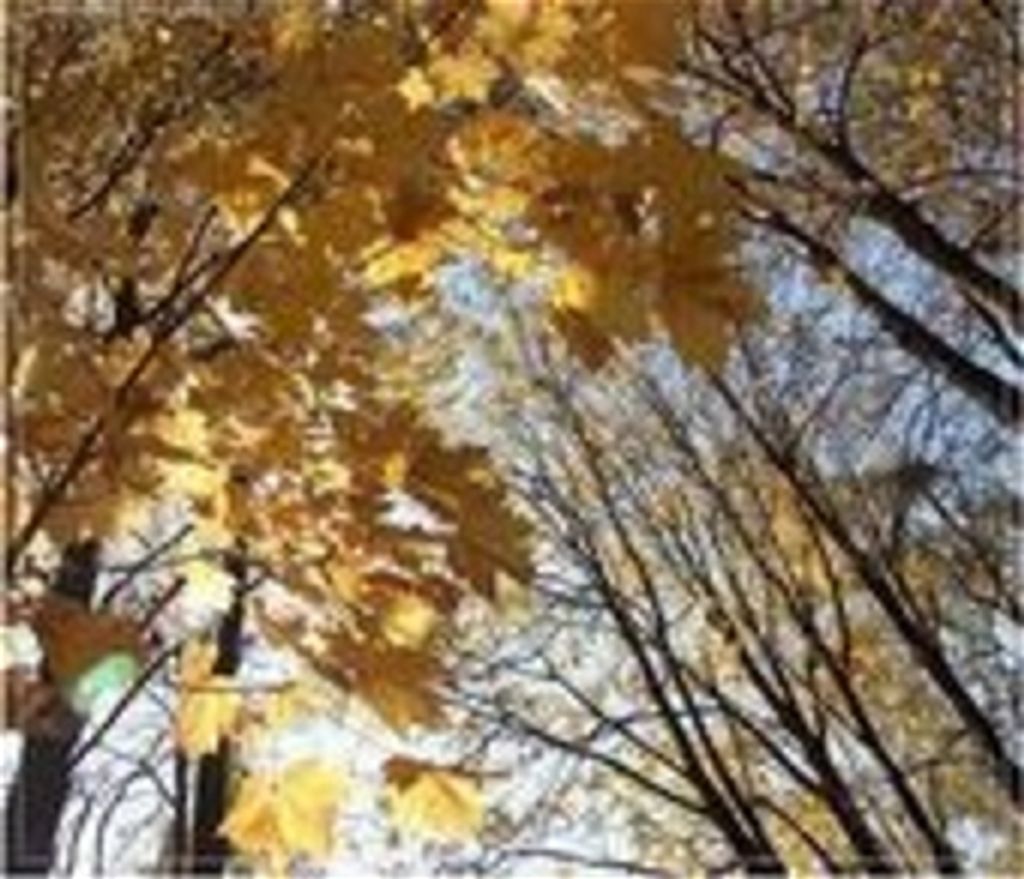 Marian E. Whiteford Boyer