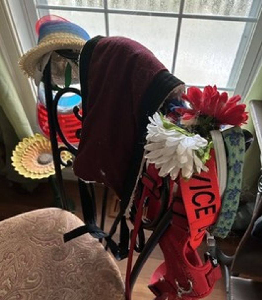 Bowie Lamb Profile Photo