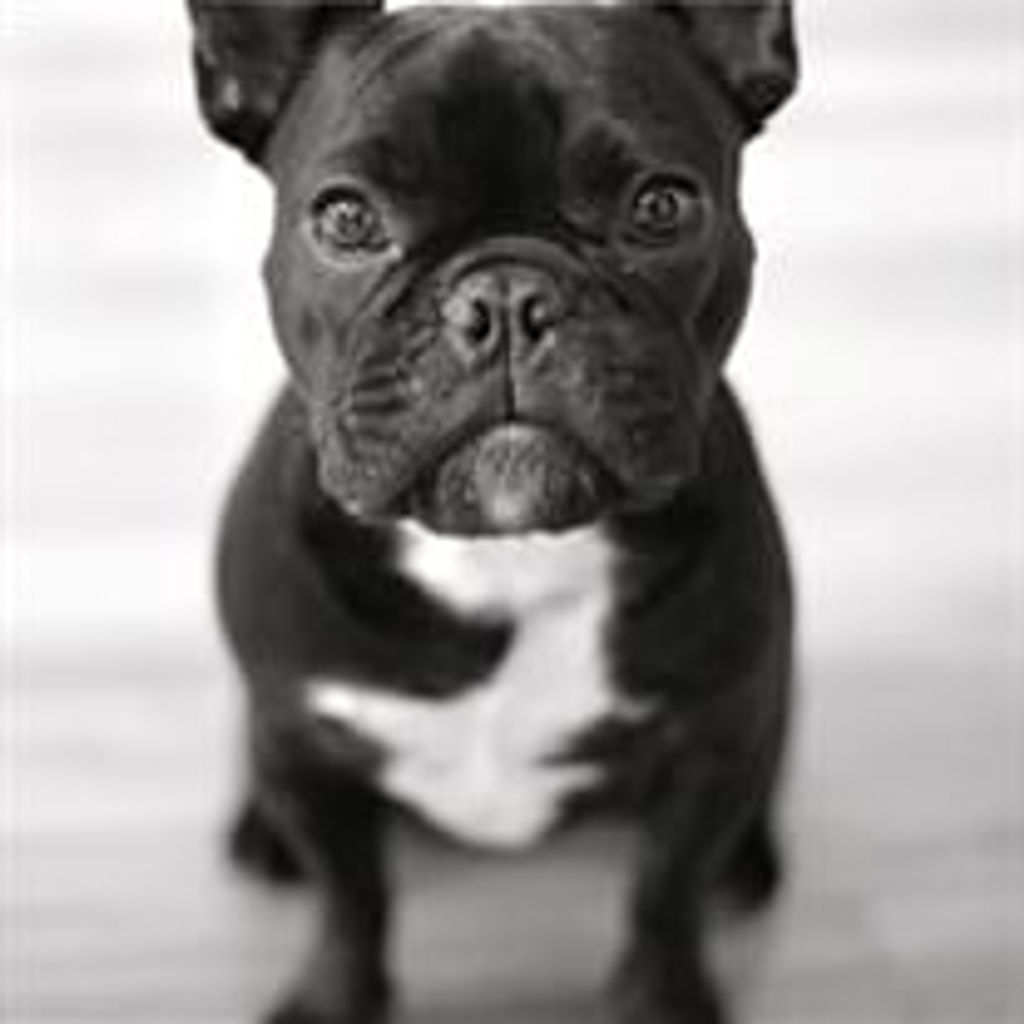 Fiona Profile Photo